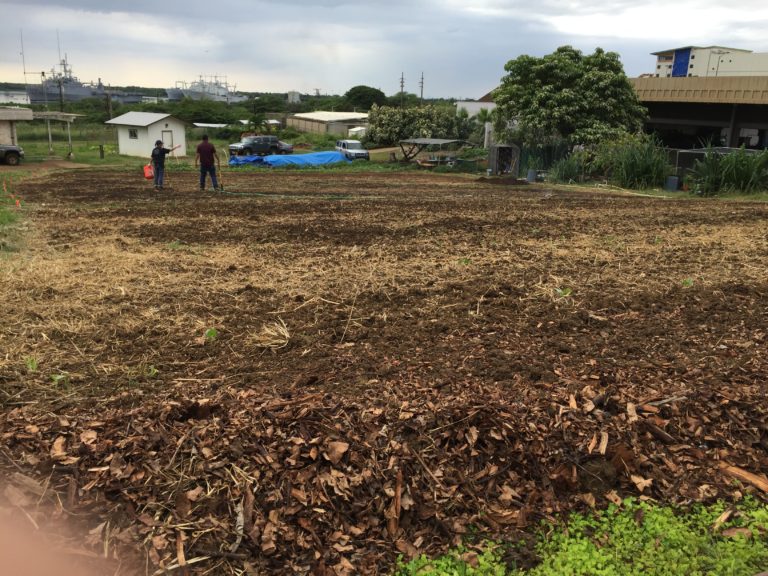 Soil Sampling and Testing